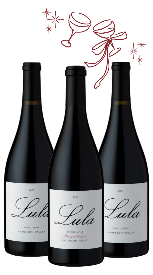 Product Image for It’s a Pinot Party 3-Pack