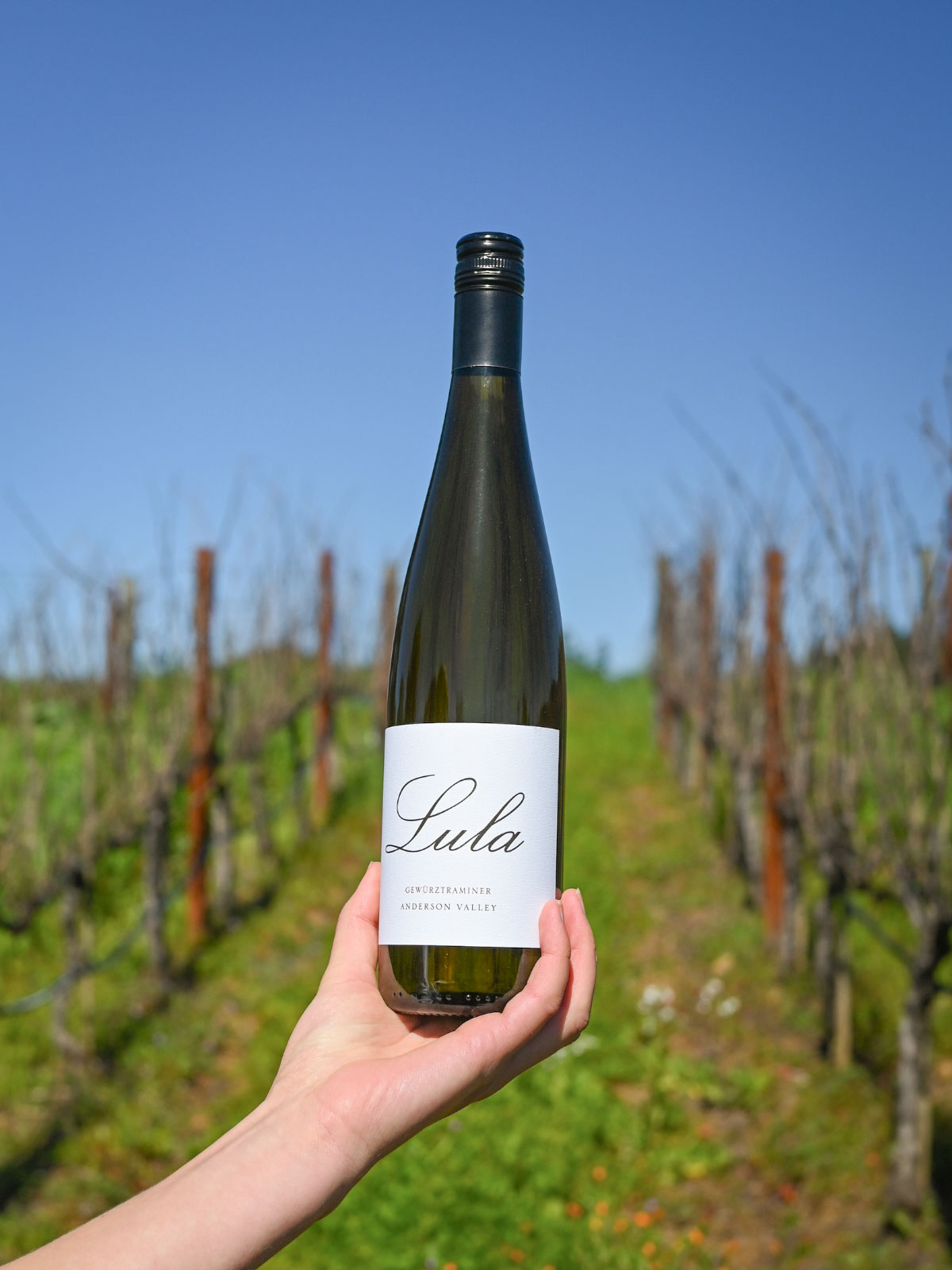 Product Image for 2023 Gewürztraminer Case