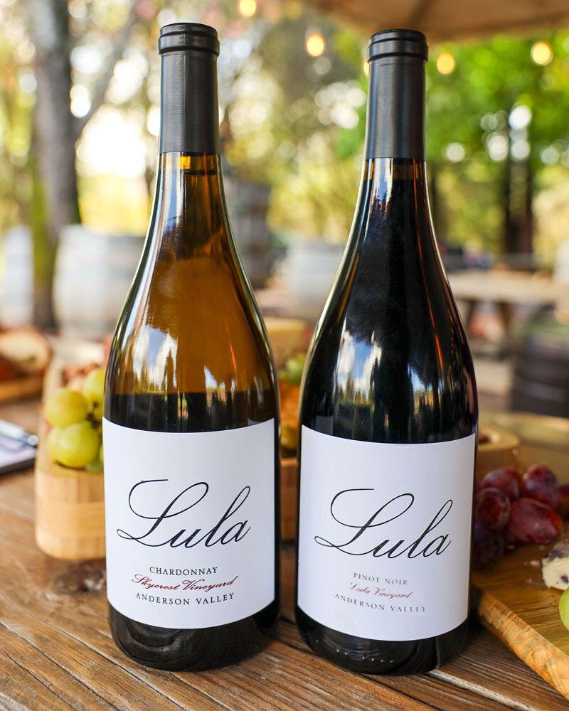 Product Image for Holiday Fan Favorites