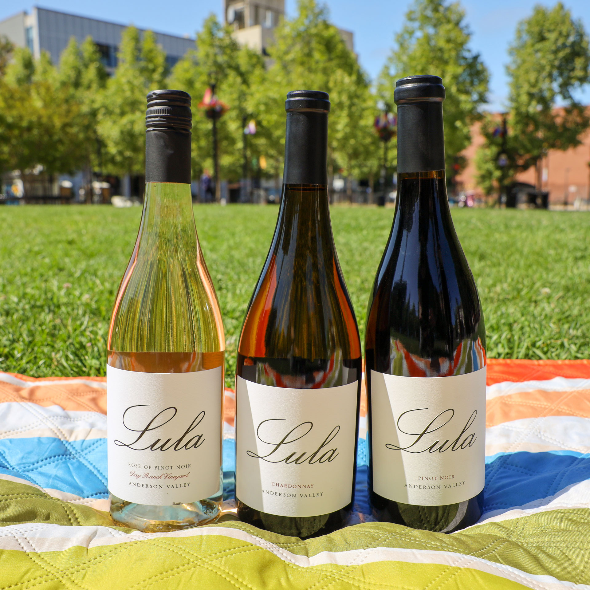 Product Image for 2025 Solstice Summer Trio