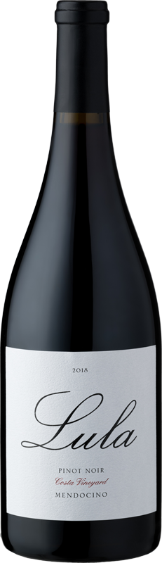 Product Image for 2018 Costa Pinot Noir